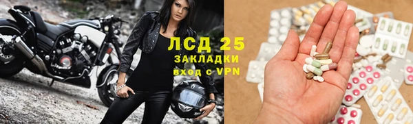 спиды Алзамай