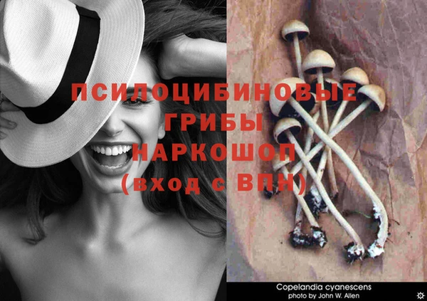 apvp Абдулино