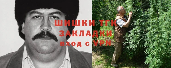 спиды Алзамай